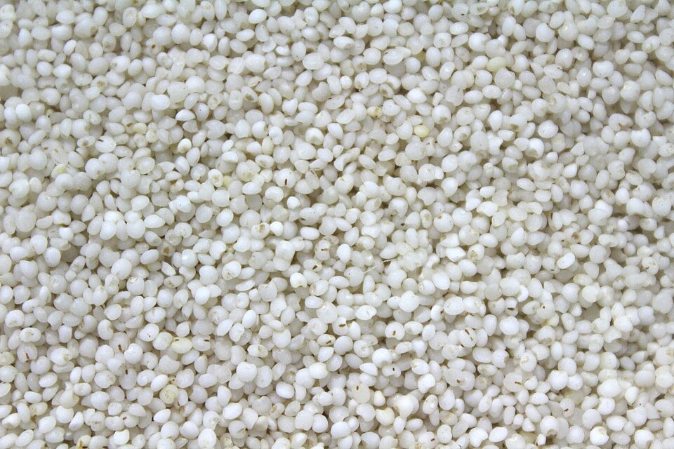Millet