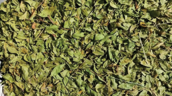 Dried herbs