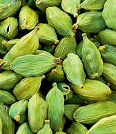 Cardamom