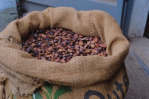 Cocoa beans