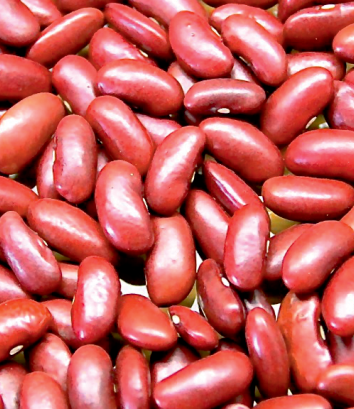 Kidney beans
