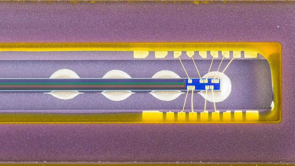 Close-up photograph of the Sony ILX561K linear CCD in an Epson scanner