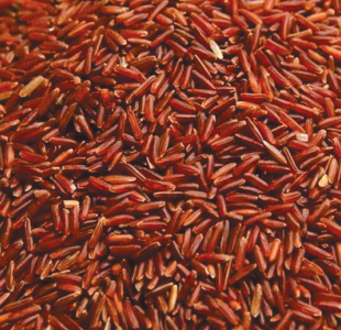 Red rice