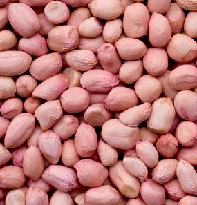 Groundnut