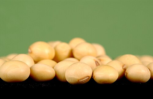 Soybeans