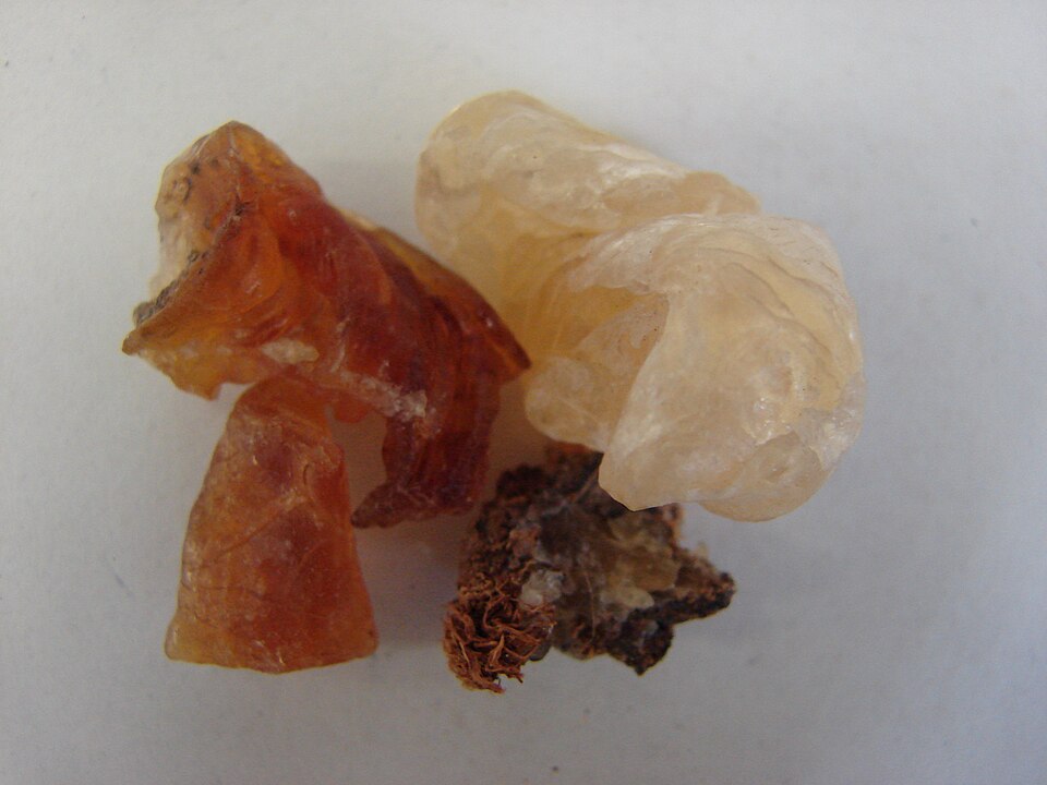 Tragacanth pieces