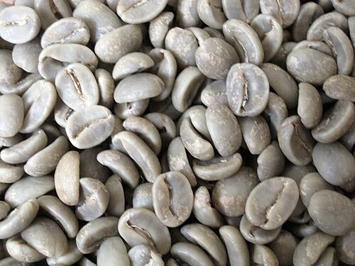 Green coffee