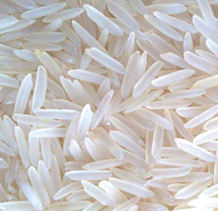 White rice