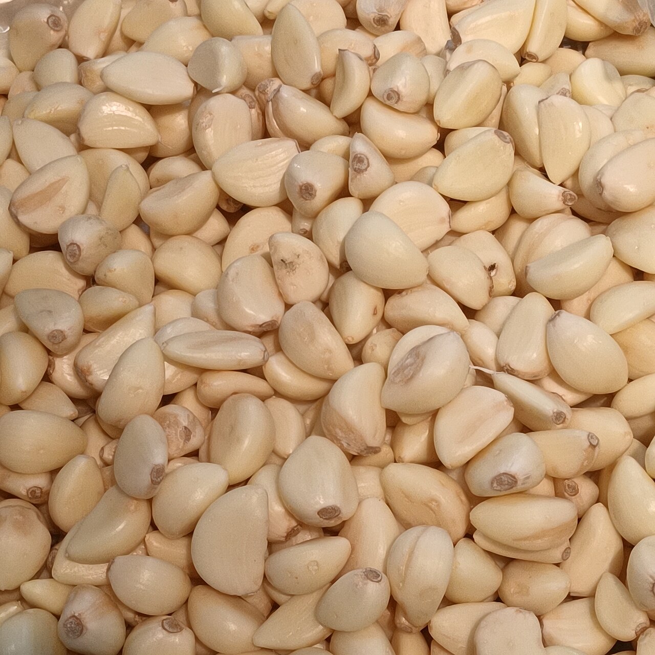 Garlic cloves