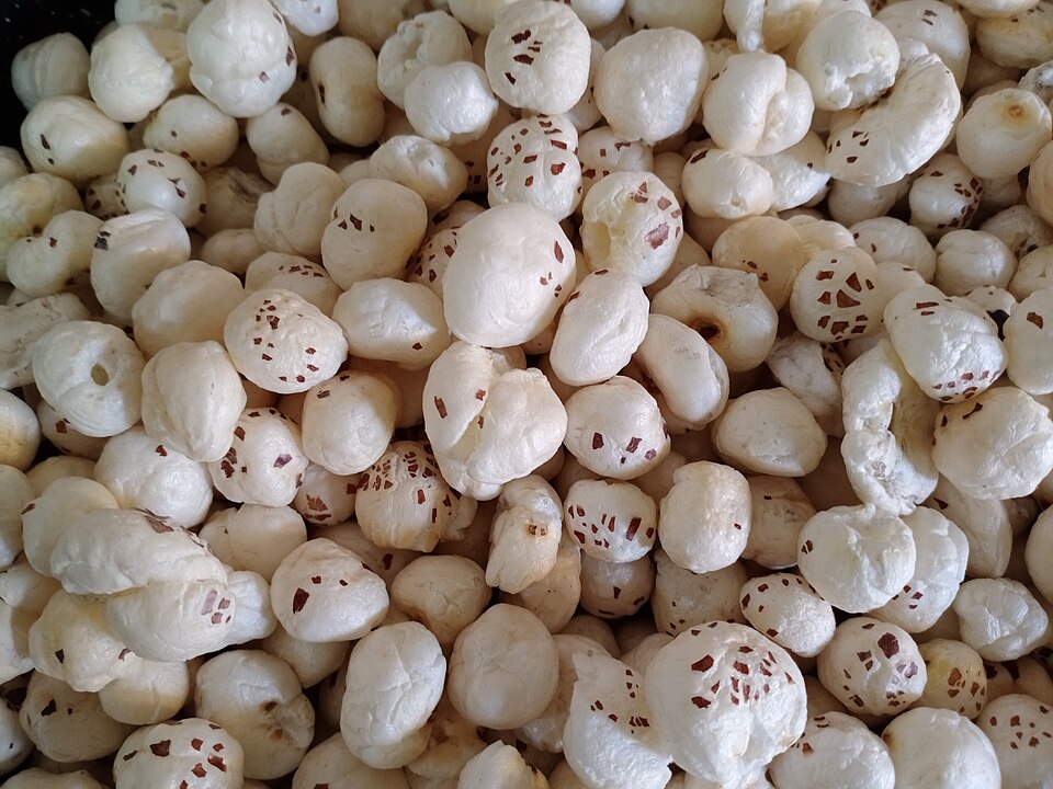 Fox nuts (makhana)