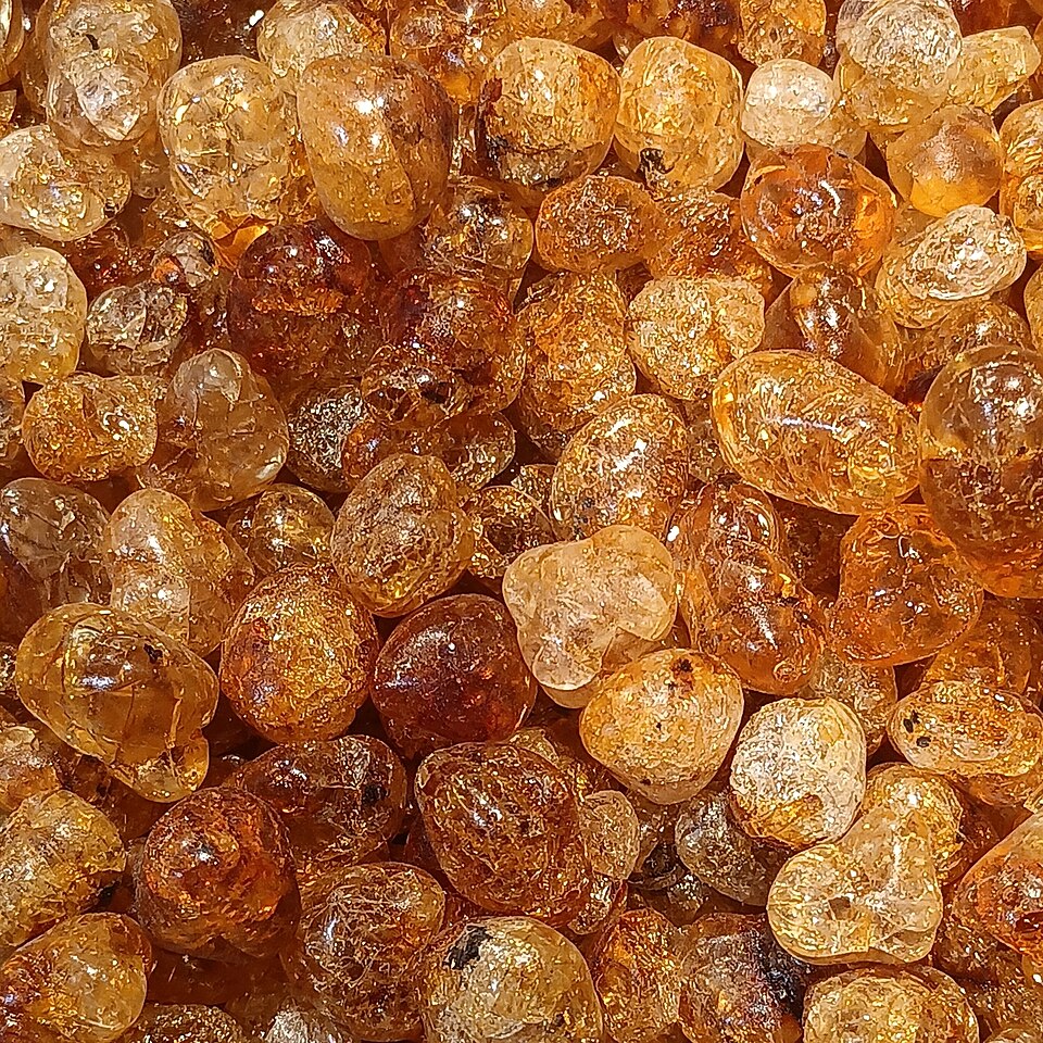 Peach gum