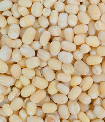 Urad dal