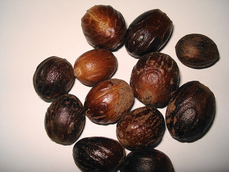 Nutmeg