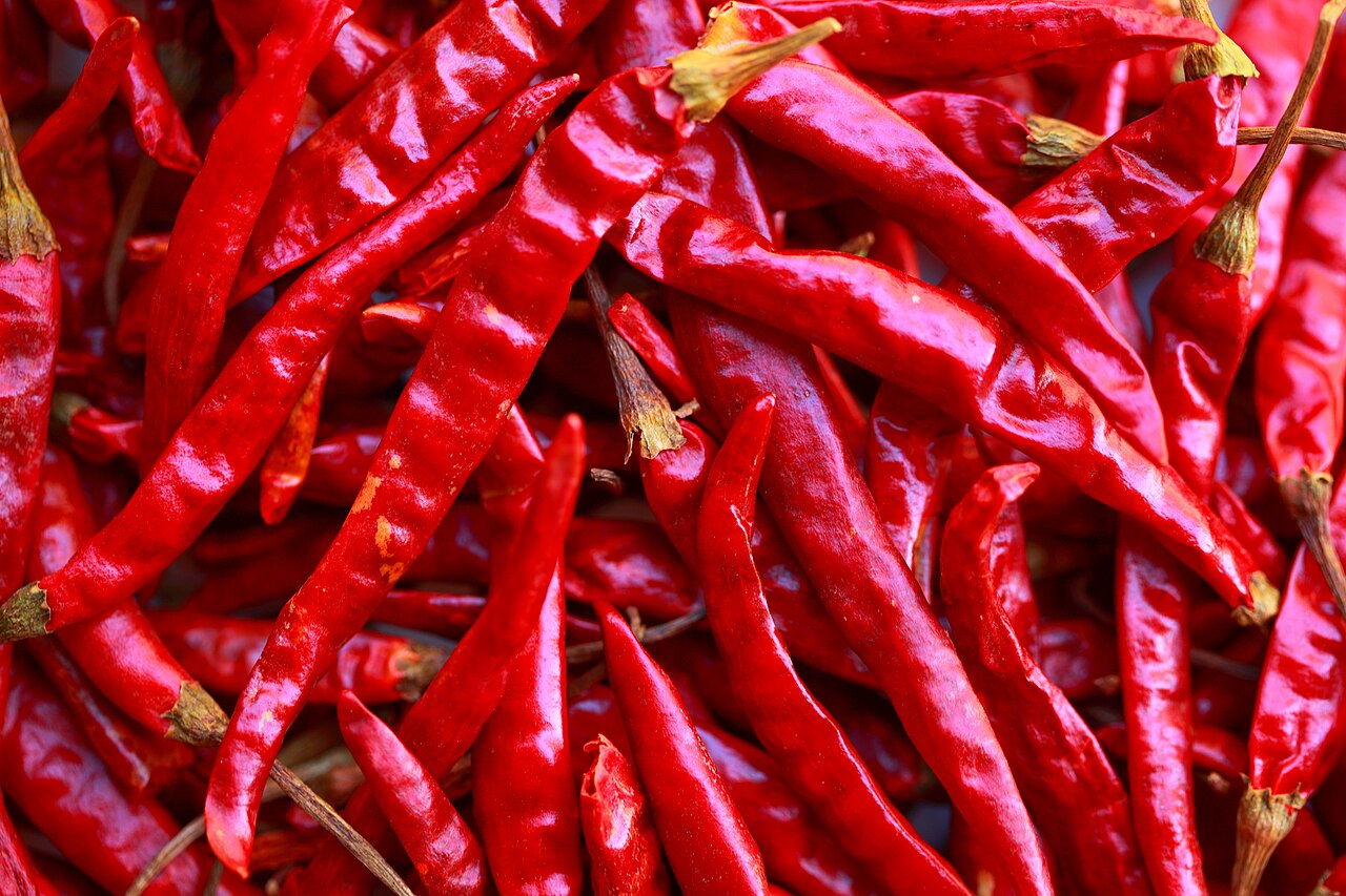 Dry red chilli