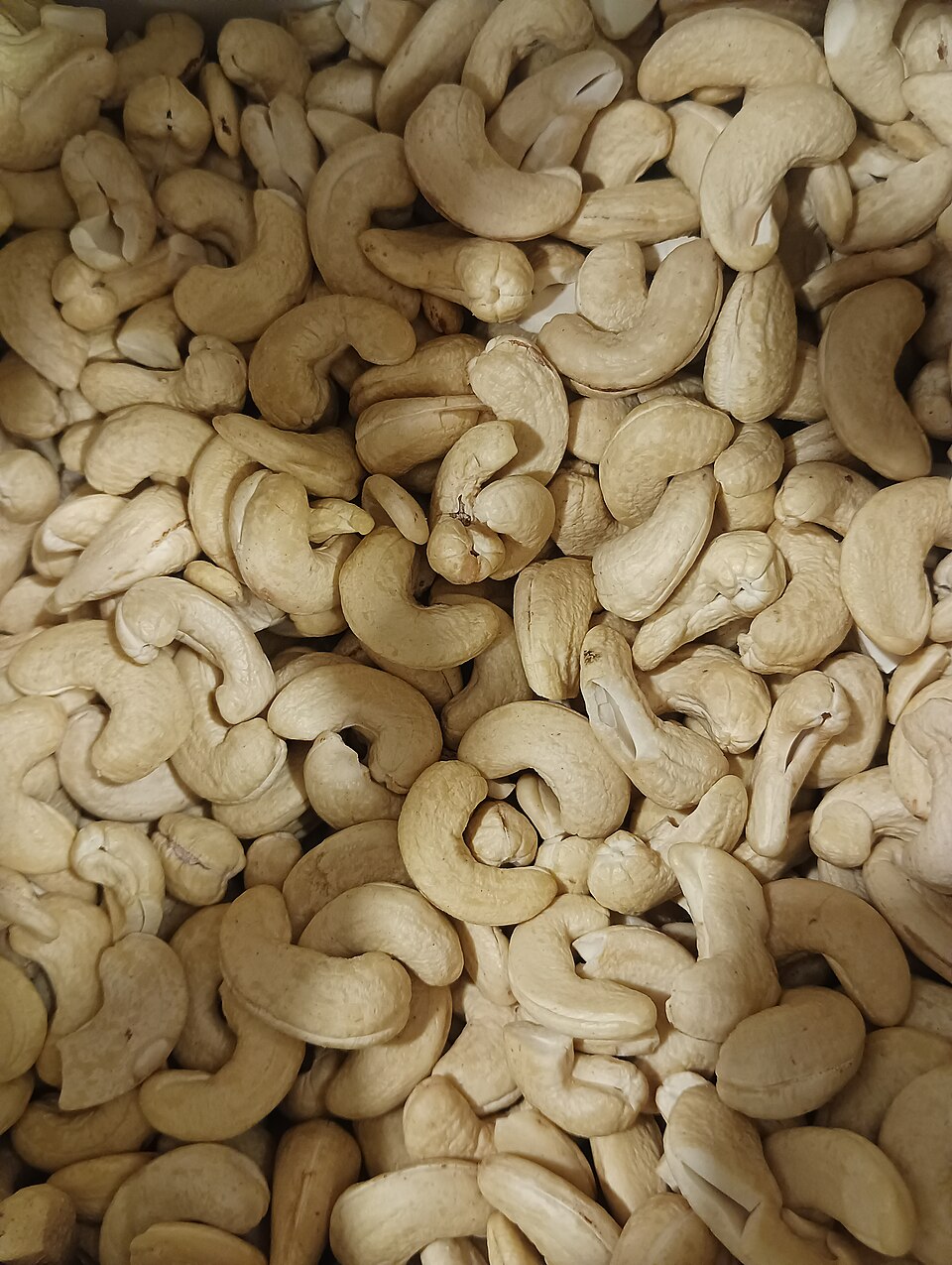 Cashew